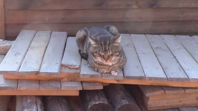 ПЛЯЖ КЛЕОПАТРЫ АЛАНЬЯ 4 ЯНВАРЯ 2023 МОРЕ ЛЮДЕЙ НА ПЛЯЖЕ смотреть онлайн