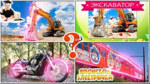 Изучаем транспорт с Академиком Крохой |  Интересные факты и викторина