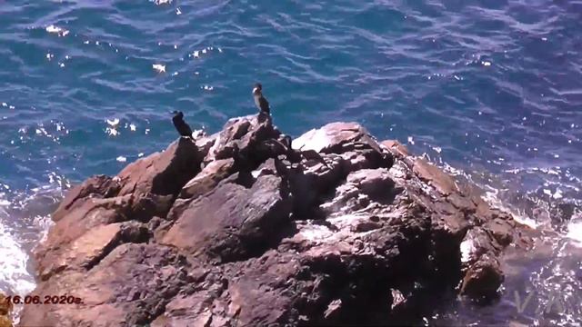 Левый берег моря у Порта Козьмино. смотреть онлайн