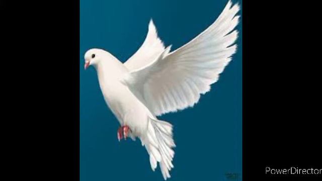 կտրոմը երկինք երգ/ktorm@ Erkinq Erg