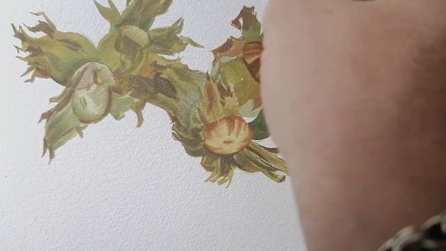 Орехи и голубика. смотреть онлайн