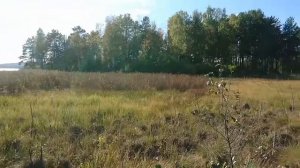 Поиск загадочного места на флюсе в районе залива Зелёный мыс.