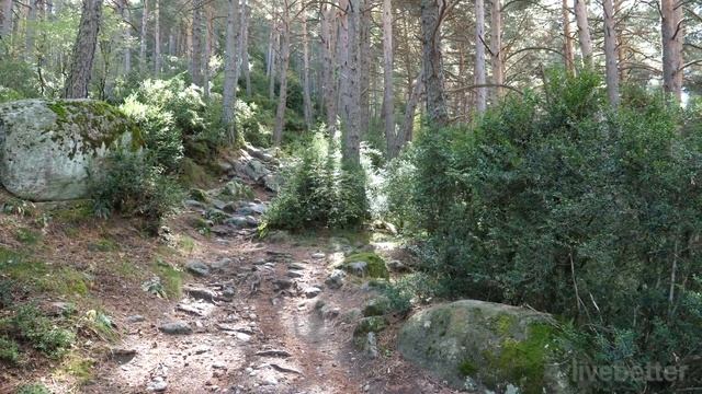 The Best Relaxing Classical Music Ever | Classical For Relaxation Meditation Tranquility Calm