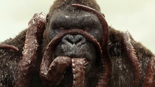 Godzilla vs Kong 2020 | KONG Confirmed to KEEP GROWING смотреть онлайн