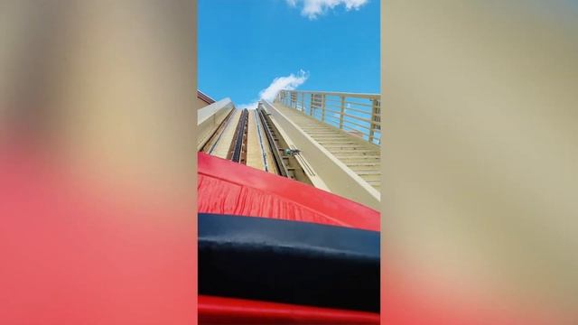 Парк морских животных и американских горок / Sea World Орландо / Dolphin amzing show killer whale смотреть онлайн