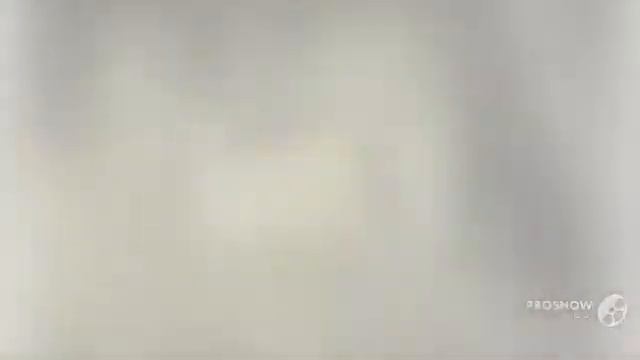 Usnea arizonica - fungi kingdom смотреть онлайн