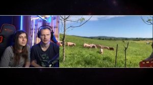 Ужасы Свинки Пеппы / Реакция на Звёздного Капитана