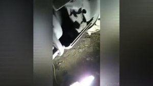 Задние колодки вольво ф12