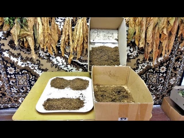 Мешка табака Вирджиния + Берли. смотреть онлайн