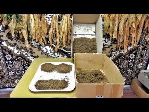 Мешка табака Вирджиния + Берли.