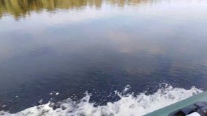 Лодка ПВХ Тайга 320СК и мотор Гладиатор 5л.с. Покатушки по реке