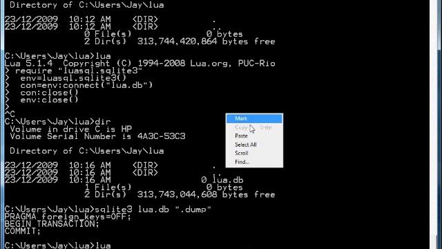 SQLite Programming With Lua смотреть онлайн