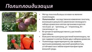 Биология 9 класс. Основы селекции организмов