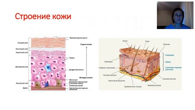 Избавляемся от мифов в косметическом мире смотреть онлайн