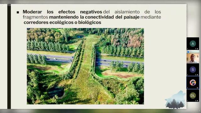 Green women: Efectos de la fragmentación forestal un peligro para la biodiversidad en México смотреть онлайн