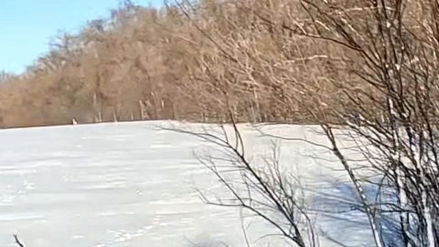 Охота на зайца 2024.mp4 смотреть онлайн