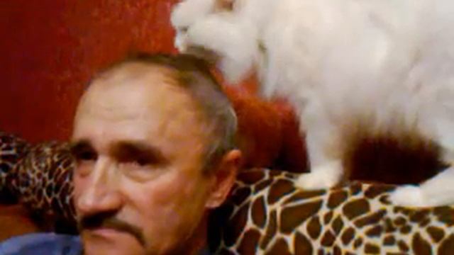 Грязная голова:D смотреть онлайн