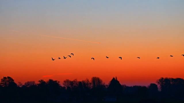 Дни летят... смотреть онлайн