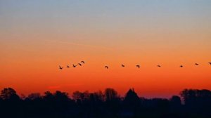 Дни летят...