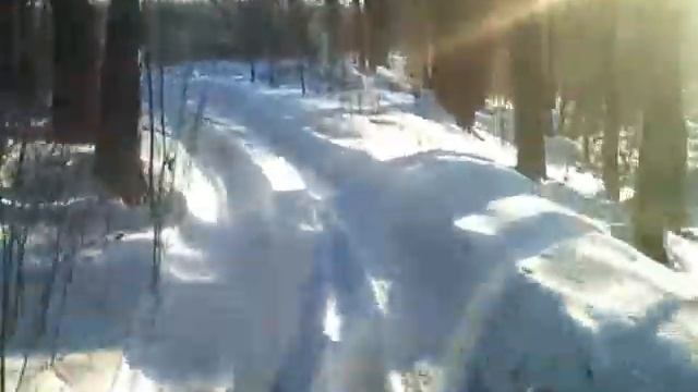 Просмотр трассы для зимней гонки 2013.