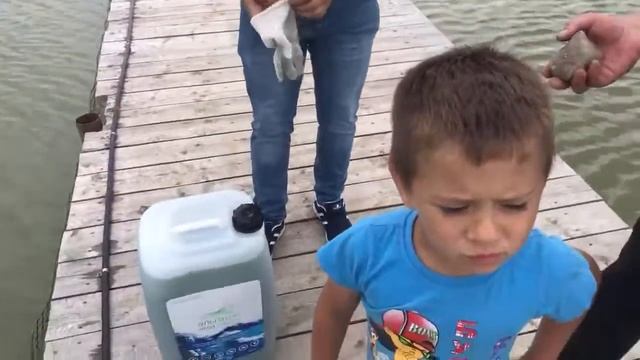Заливаем хлореллу смотреть онлайн