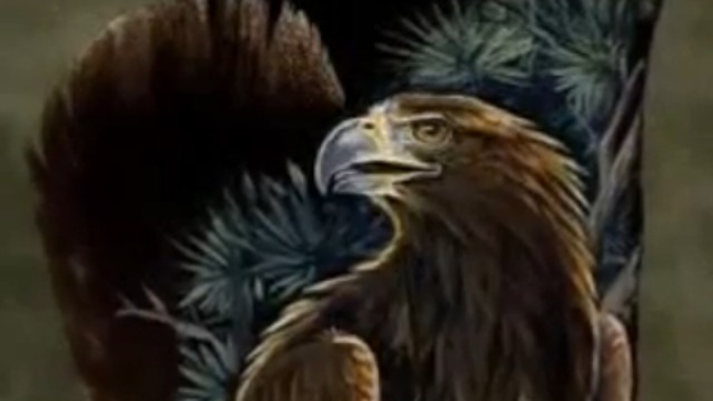 Рисунки на перьях птиц. смотреть онлайн