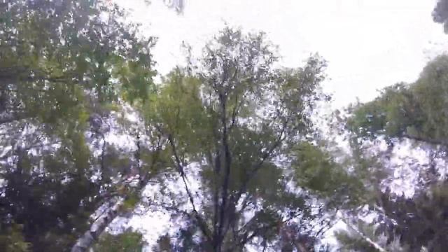 Квадроцикл & лес в Зубровнике смотреть онлайн