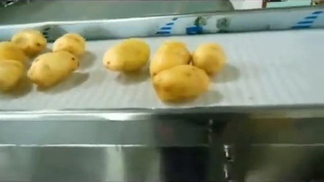 Машина для фасовки картофеля Titan смотреть онлайн