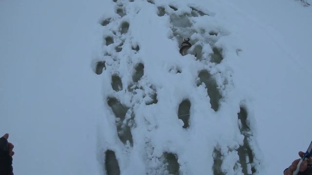 2020 рыбалка часть 2 смотреть онлайн