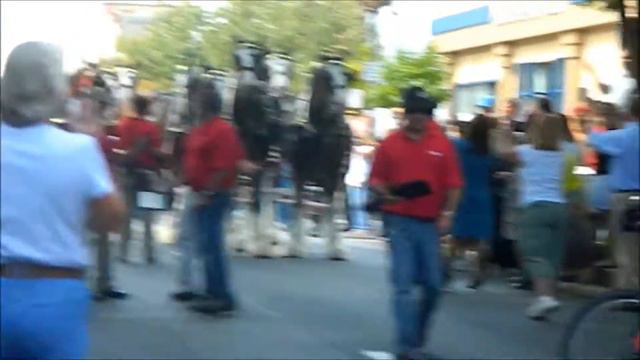 Budweiser Clydesdale Horses in Allentown, PA - September 16, 2013 смотреть онлайн