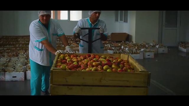 Соки производство смотреть онлайн