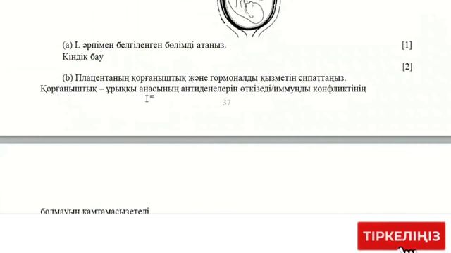 ТЖБ.БИОЛОГИЯ. 9-СЫНЫП.4-ТОҚСАН смотреть онлайн