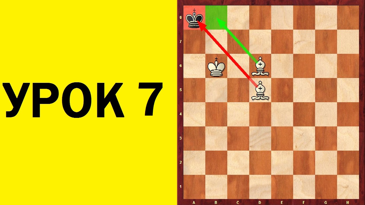 Шахматы для начинающих. Урок 7. Школа шахмат d4-d5. смотреть онлайн