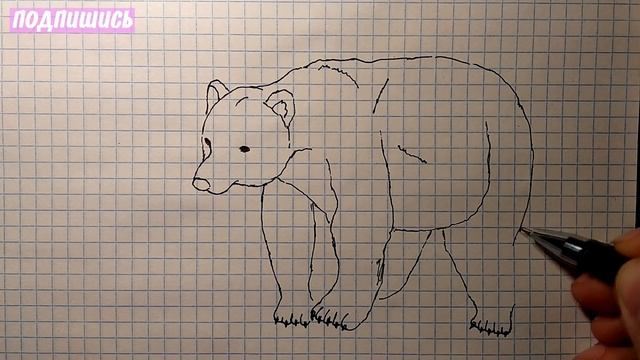 Как нарисовать МЕДВЕДЯ /1080р/How to draw a BEAR смотреть онлайн