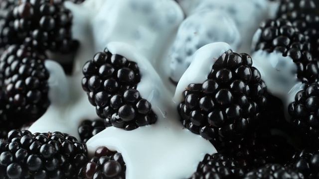 Mind Blowing 4K HDR 120FPS Dolby Vision