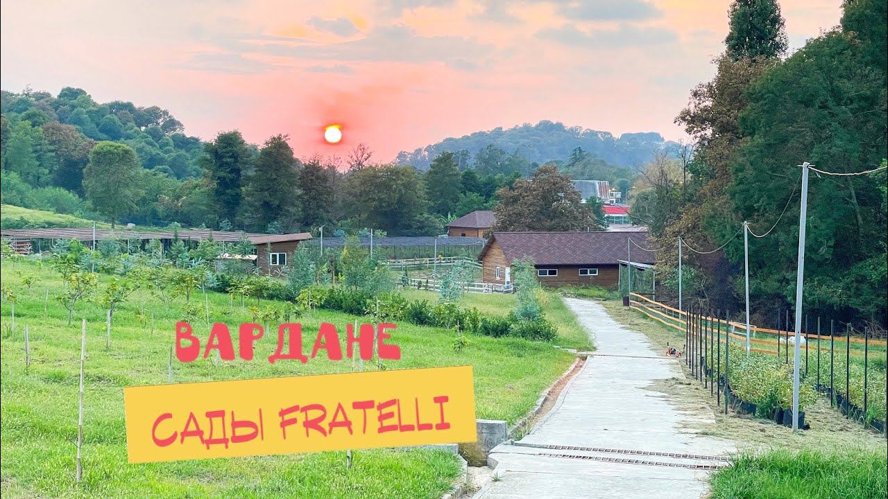 Вардане. Сады Fratelli Сочи. смотреть онлайн