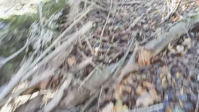 Назбирав грибів за 20 хвилин. Супер пінечок