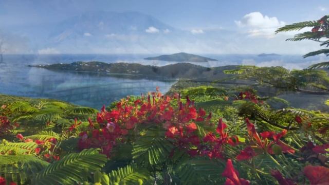 Мир будущего каким он будет как и где мы будем жить Как будет выглядеть мир будущего Законы будущег смотреть онлайн