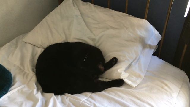 ROOM TOUR 2016 | VINTAGE GRUNGE DECOR смотреть онлайн