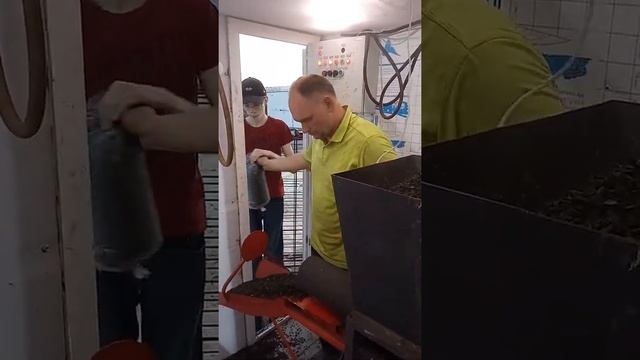 Набивка блоков смотреть онлайн