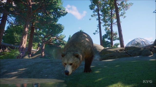 Planet Zoo - Grizzly Bear Gameplay (PC HD) [1080p60FPS]