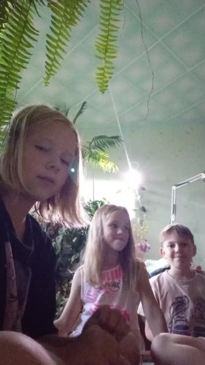 Правда или действие