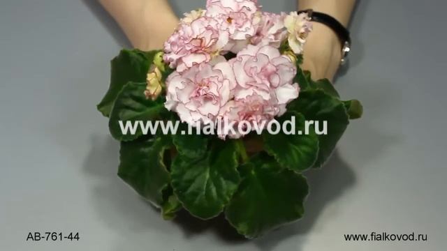 АВ-761-44 смотреть онлайн
