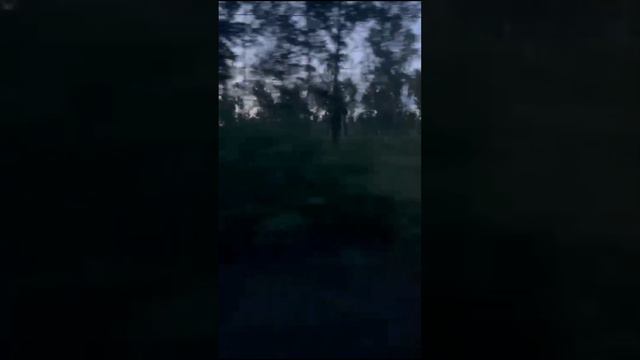 Байкал. ЖД. смотреть онлайн