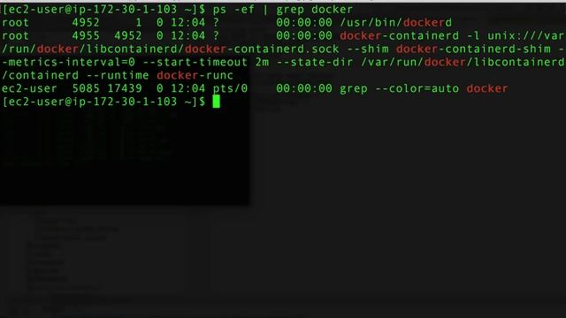 Installing Docker And MySQL on AWS RHEL Image смотреть онлайн