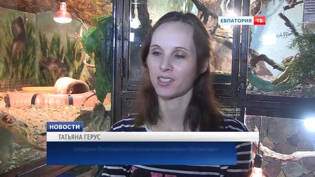 Ящерица из мифов живет в Тропикпарке смотреть онлайн