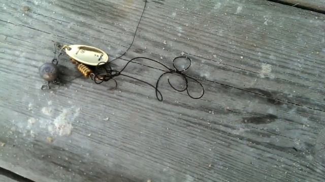 Ужас! Конский волос и Лесоустроители