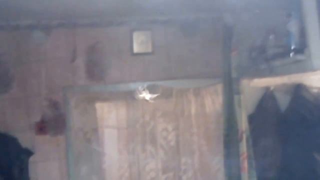 Паук плетёт паутину. смотреть онлайн