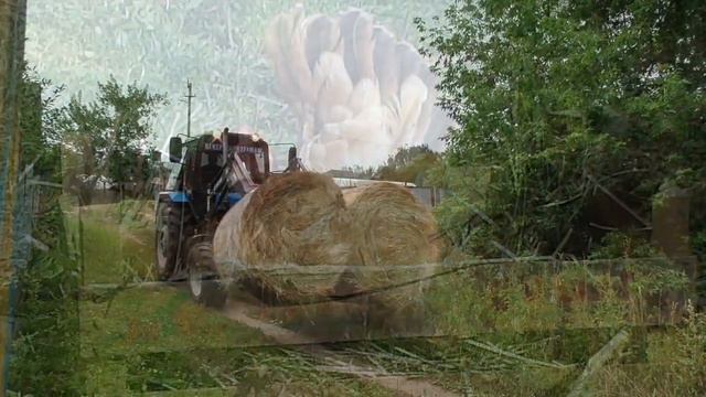 Жили были не тужили смотреть онлайн