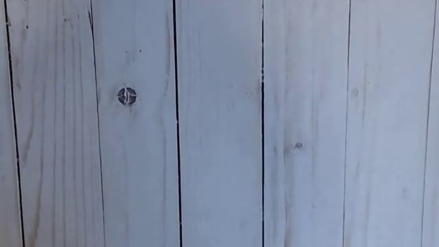 Haulsie, Your Next Stamp, TM, HL, Target, Big Lots смотреть онлайн